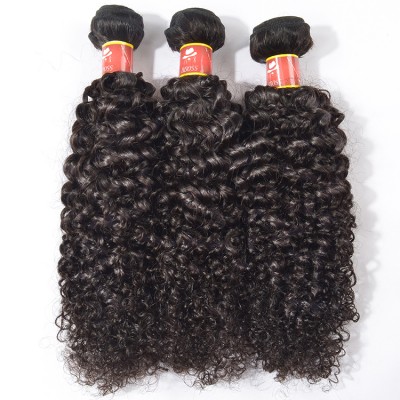 Own Factory with low cost and High profit Wholesale unprocessed full cuticle virgin brazilian kinky curly hair